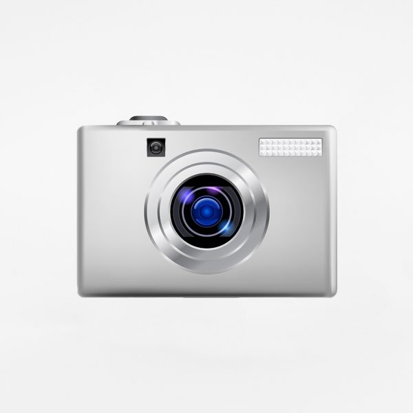 Case of the Giant Jackal – Image 2